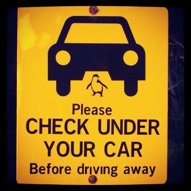 Under checking. Мужчина в кресле с чашкой чая. Under checking. Under checking. Under checking.