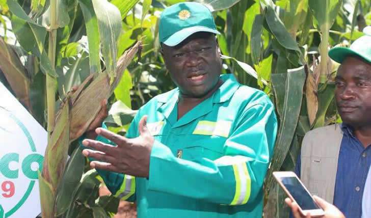 President of Zimbabwe tweet media