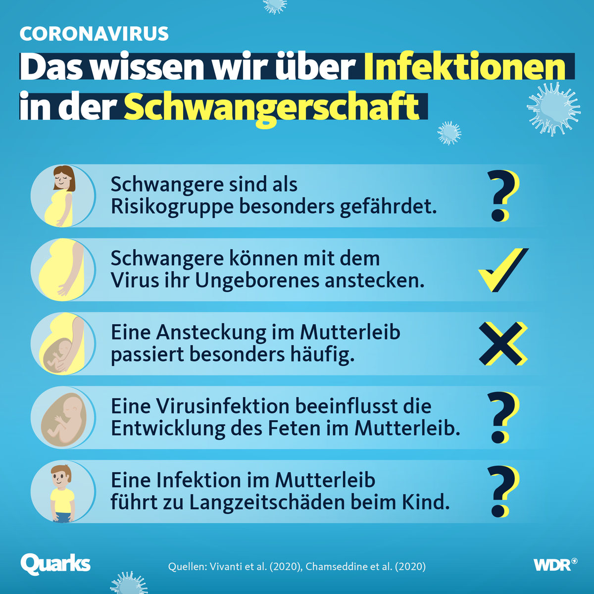 quarkswdr's tweet image. Schwangere können ihr Ungeborenes mit dem Coronavirus über die Plazenta infizieren, das wissen Forscher jetzt. Es gibt aber immer noch viele Fragezeichen. #Corona