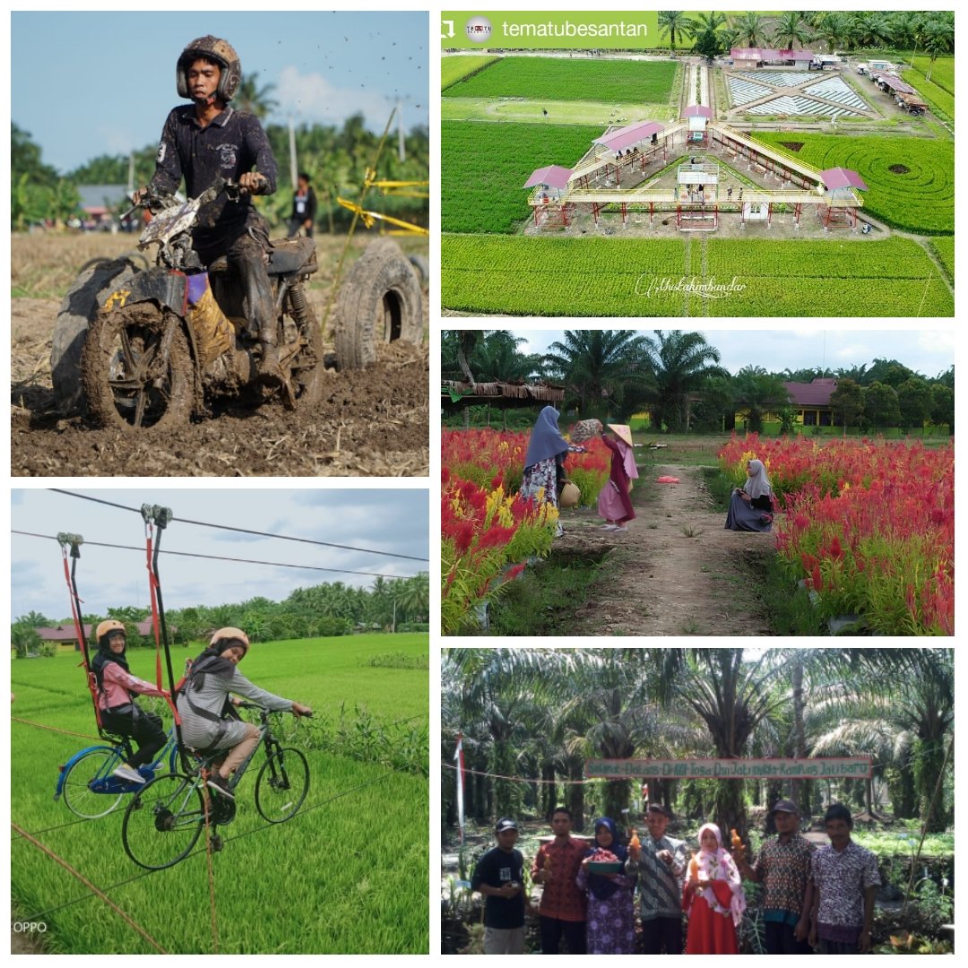 SyafriaNingsih5's tweet photo. Potensi di DPG tidak pernah ada habisnya. BRG hadir mendukung potensi perekonomian di Desa-Desa Gambut. Dorong Kawasan Pedesaan Gambut, cara BRG restorasi gambut dengan lingkup kawasan
#PeduliUMKMGambut
#BRGSatkerTerbaik
@MuslimRasyid @MiftaFirridjal @fadlian_rizky @MitraGambut https://t.co/5erNQnMXVG