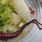 ひょっとして珍しい？セブンで売られているタコマリネのサラダのタコの足が二股に!