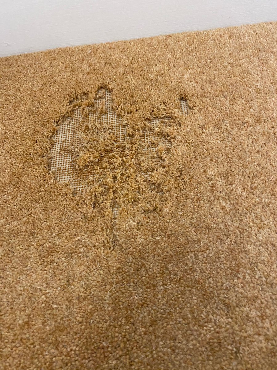 VassimAslam's tweet photo. https://t.co/HZtwqtu6Fr 
Professional carpet cleaning and repairs please call 0203 488 1252 for a free no obligation quote on all our services. https://t.co/vna6HA22TE