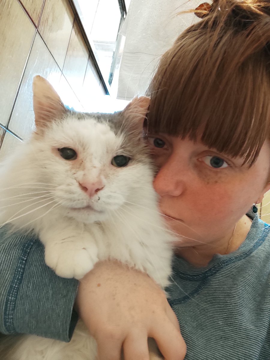 scruffkit's tweet image. Scruff guess hims can be forgiving hoom...... Dis time......
#FIVcatsclub #AussieCatsOfTwitter #CatsOfTwitter #CatsOnTwitter