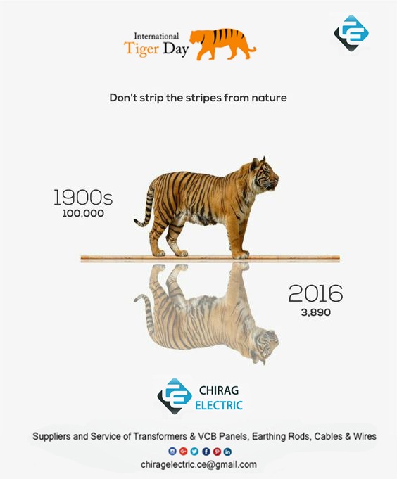 ChiragElectric's tweet photo. #InternationalTigerDay2020 #PROUDOFINDIA #SaveTigers https://t.co/0uElhvy7Bp