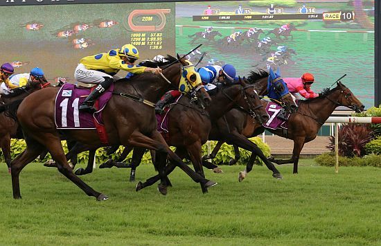 KranjiBroadcast's tweet image. 🏇 SUNDAY RACE CARD 🏇

📆 August 2nd 
⌚12pm
🏆 1️⃣4️⃣
⭐ Race 1️⃣2️⃣ (Class 1 - 1400m)

🔗 Click here for the race card 👇
racing.turfclub.com.sg/en/race-cards/

A superb day of racing in prospect
With stars aplenty on track...! 🐴

#SGRacing #Kranji #Aug2