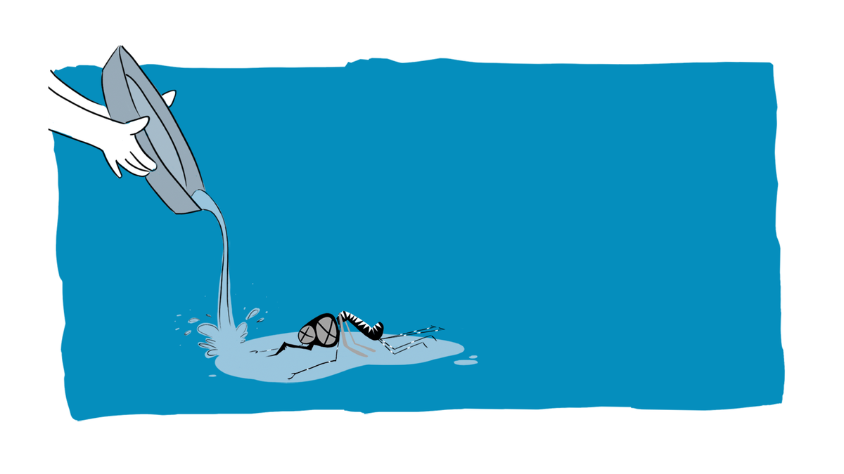 EtatdeVaud's tweet photo. Saviez-vous qu'1cm d'eau suffit au moustique tigre pour y établir domicile ? Ne le laissez pas s'installer et pensez à supprimer tout ce qui pourrait lui servir d'habitat.
Illustration Lidia Montero
Ecole Ceruleum
#etatdevaud #moustiquetigre #prévention https://t.co/ALobVUbSnx