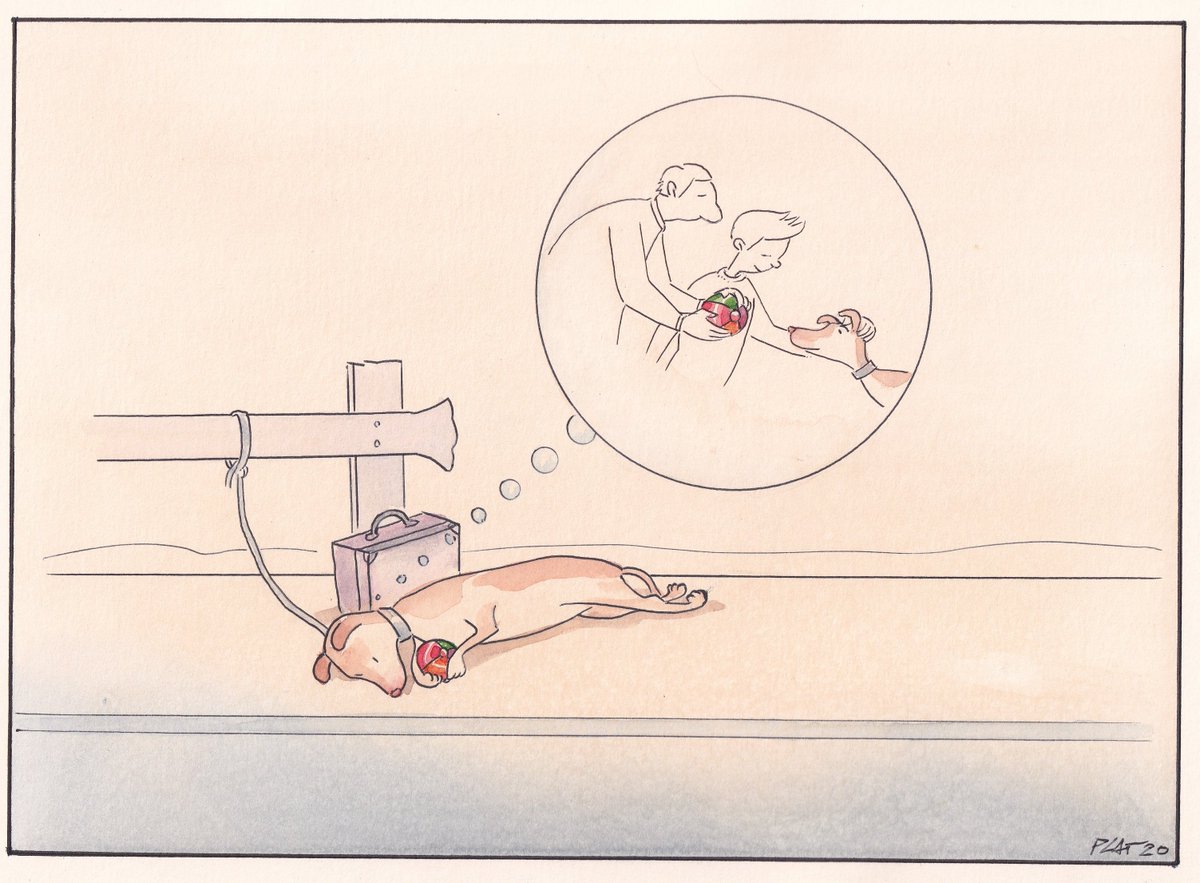 Paco Catalán. tweet media