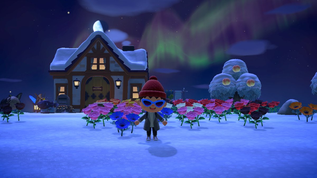 RabbitGIC's tweet photo. #AnimalCrossing #ACNH #NintendoSwitch Beautiful Night https://t.co/gdRmsnSEav