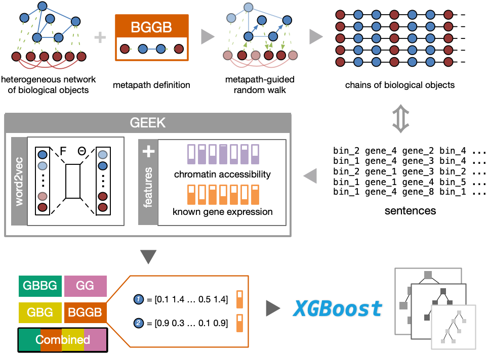 adam_zhzhang's tweet image. Happy to share you our freshly published work on @NatMachIntell. We proposed GEEK, a flexible, network-embedding-based framework integrating heterogeneous biological knowledge to study their joint effects on gene expression.

Read full text: rdcu.be/b5R48