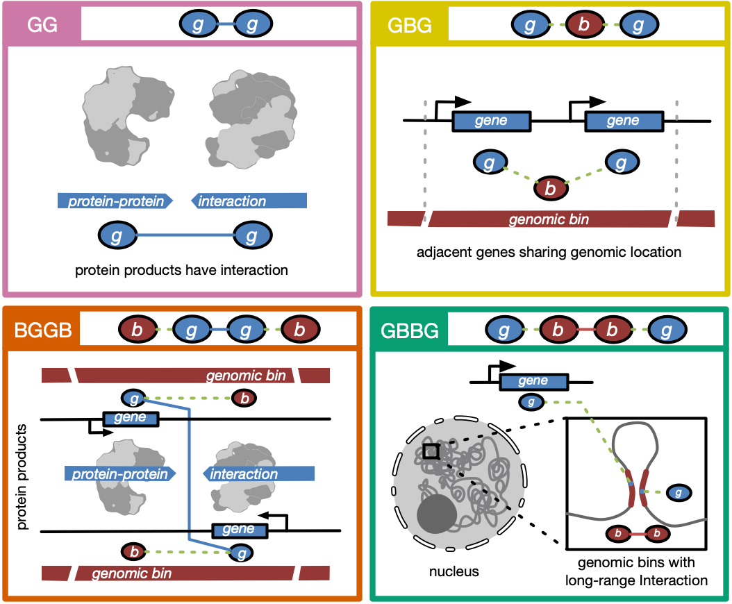 adam_zhzhang's tweet image. Happy to share you our freshly published work on @NatMachIntell. We proposed GEEK, a flexible, network-embedding-based framework integrating heterogeneous biological knowledge to study their joint effects on gene expression.

Read full text: rdcu.be/b5R48