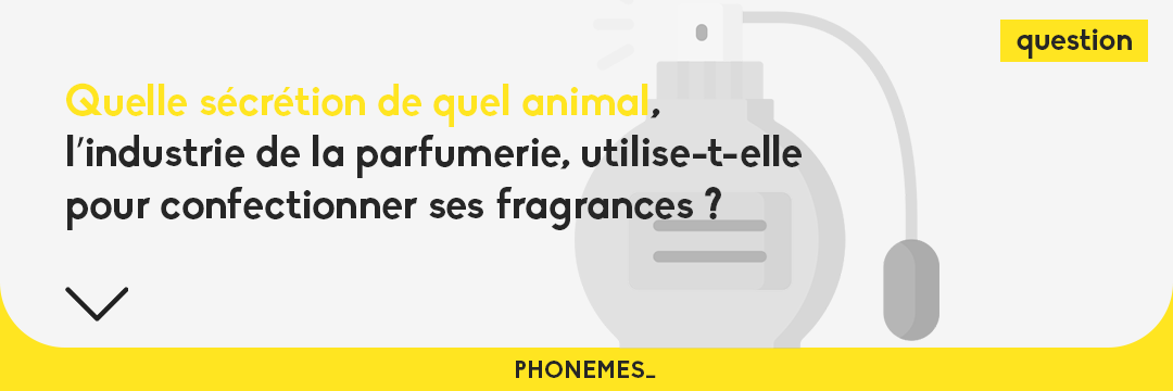 phonemes_'s tweet photo. Quel jour on est ? Mercredi ?! C'est le moment du #TweetQuizDuMercredi... https://t.co/qk91EeqWyg