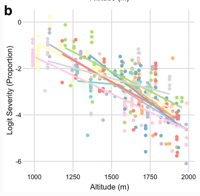 TropPlantPathol's tweet photo. 🆕 Online
A nationwide survey of #CoffeeRust conducted in #Ethiopia shows the effect of altitude and farming practices on disease risk.  Doctoral research by Kifle Belachew @JimmaUnverstiy @WCoffeeResearch funded in collaboration with @ufvplantpath 

https://t.co/NuZlSpNZ9t https://t.co/F1IPfh37gE