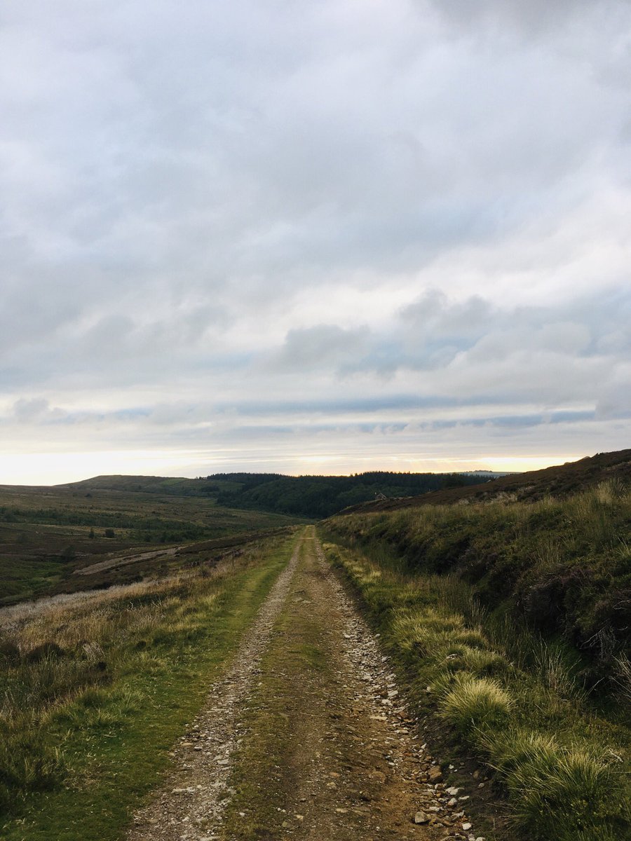 Mamnick's tweet photo. 6.10am on Dukes Drive ~ No sign of the beaded vulture but decent biscuits 🇬🇧 #yomponneuring #keepyompin #birdspotting https://t.co/1dVjLRMuAv