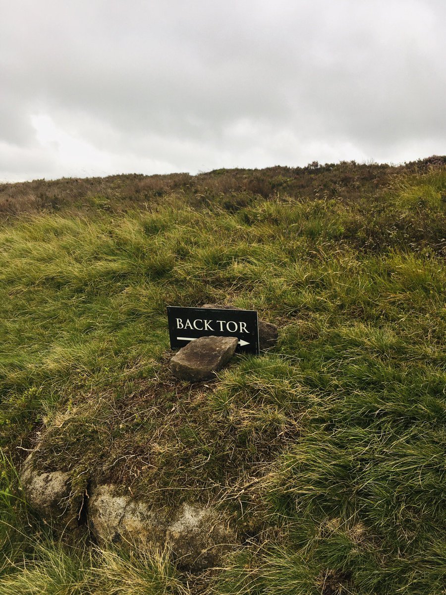 Mamnick's tweet photo. 6.10am on Dukes Drive ~ No sign of the beaded vulture but decent biscuits 🇬🇧 #yomponneuring #keepyompin #birdspotting https://t.co/1dVjLRMuAv