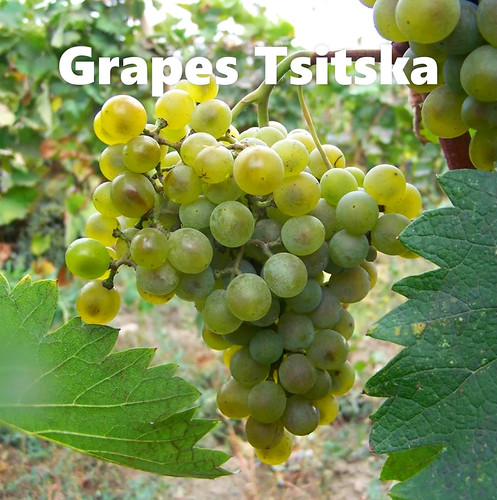 GeorgiaWineland's tweet photo. 🇬🇪☀Lagvinari, Tsitska-Tsolikauri-Pride of Imereti
🍷dry white wine Made from the indigenous Tsitska and Tsolikouri grapes grown in western Georgia.
Region: Imeretia-Georgia
Producer: Lagvinari winery
Strength: 1️⃣2️⃣%
Volume: 0️⃣, 7️⃣5️⃣
Price from 3️⃣5️⃣$
#wine #Georgia #Wineshop https://t.co/QsmxWONRDR