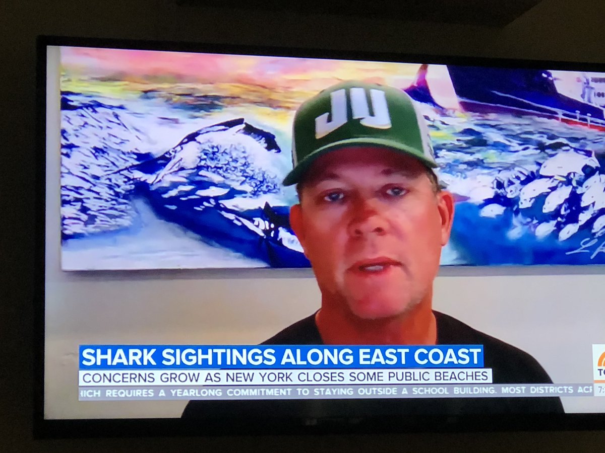 k9kayaks's tweet photo. When @ChrisOCEARCH talks about #sharks 🦈 I listen
#ItsWhatYouDo #sharkknowledge @OCEARCH #sharkeducation #sharkscience 👇 https://t.co/E3tCbWMC8I