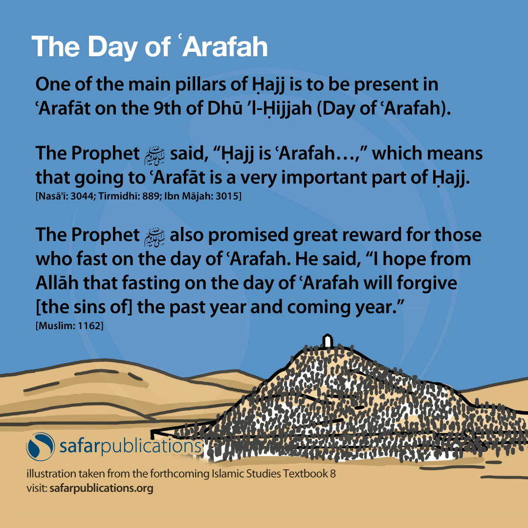 Safar Publications tweet media