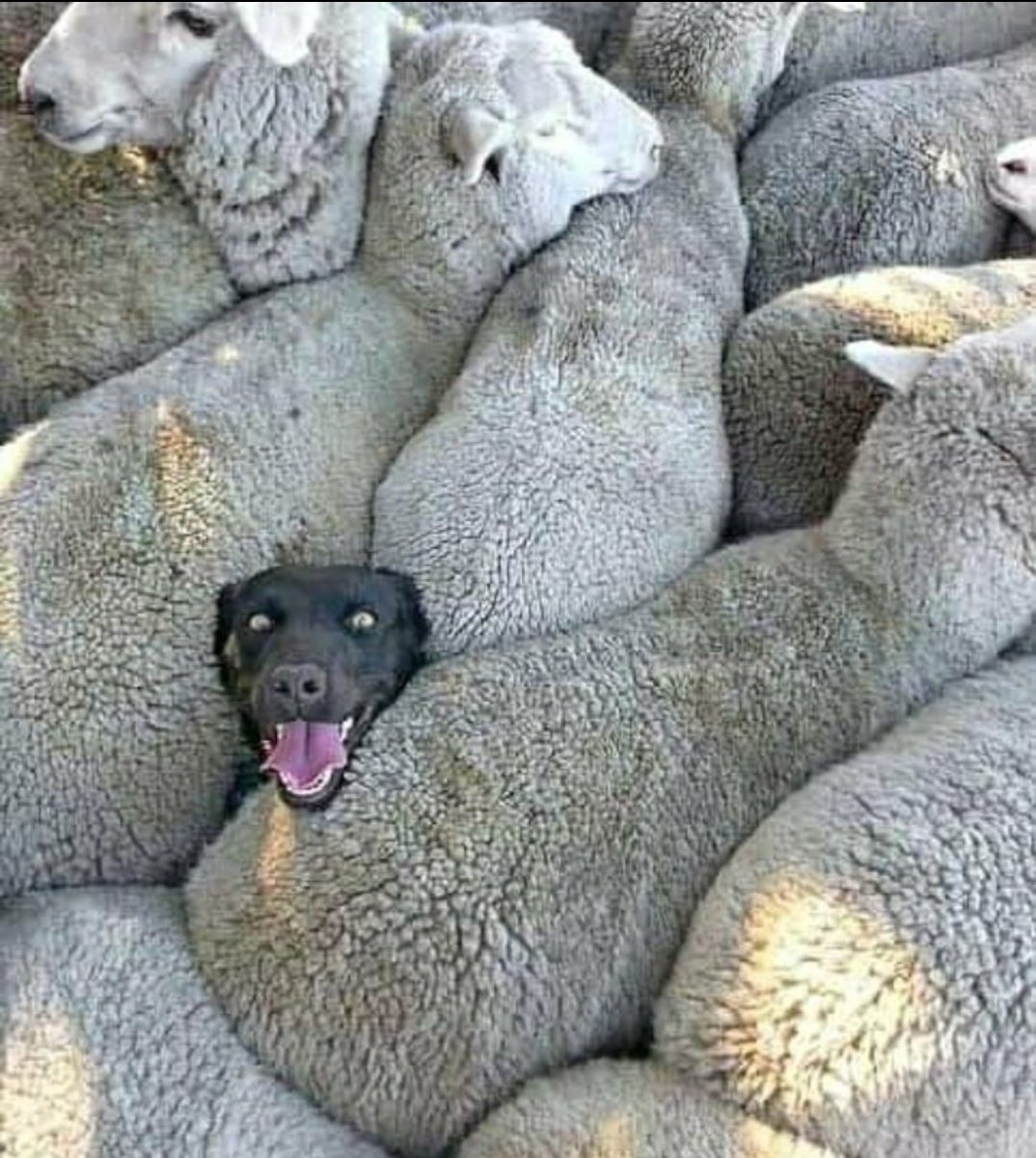 Eric Manyikah (@EManyikah) on Twitter photo 2020-07-29 12:07:54 With the rona situation, don't make yourself a victim by being squeezed in the Matatus, get yourself a discounted @Boltapp_ke ride, here is the CODE - KENEWFIRSTS #NewFirstsWithBoltKE With the rona situation, don't make yourself a victim by being squeezed in the Matatus, get yourself a discounted @Boltapp_ke ride, here is the CODE - KENEWFIRSTS #NewFirstsWithBoltKE