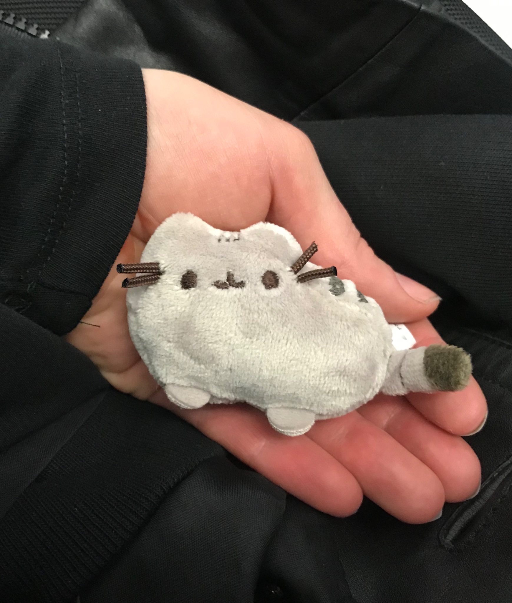 Fake on sale pusheen plush