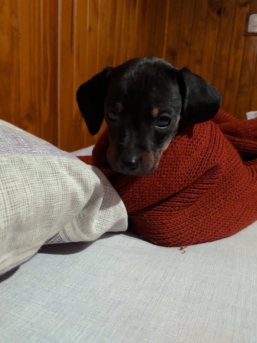 Florballini's tweet photo. Barto es todo lo que está bien 🤭💖 https://t.co/vSkItOHsSZ