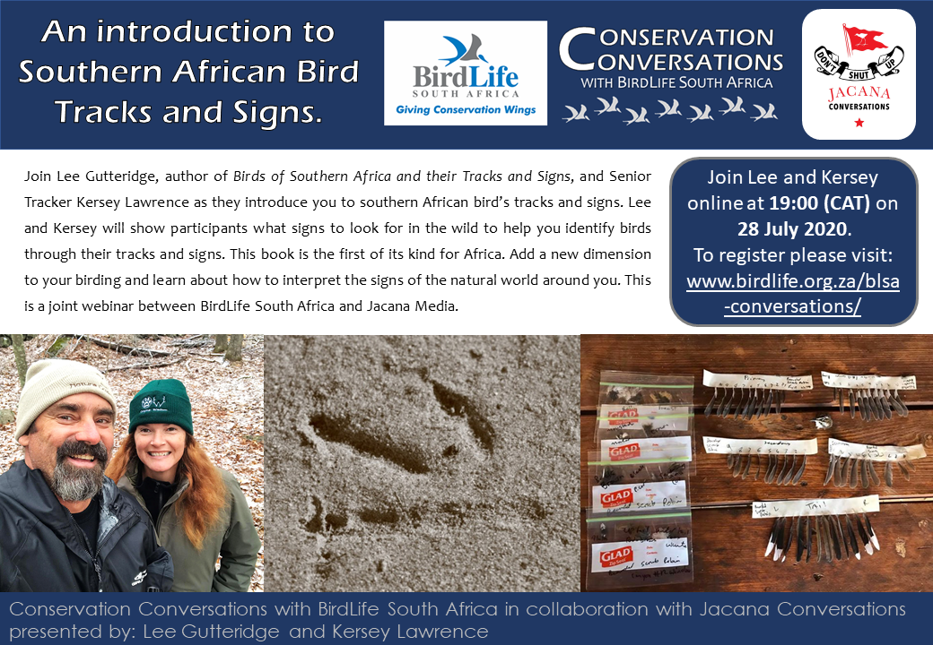 BirdLife_SA's tweet photo. ICYMI #ConservationConversations you can see Lee Gutteridge and Kersey Lawrence's webinar on bird tracks and signs here: https://t.co/Mg0HDagNHO @MfaziNkonzo @NatureGTraining @JacanaMedia @Tourism_gov_za @environmentza @BirdLife_News @BirdLifeAfrica https://t.co/hlBgBUK9n0
