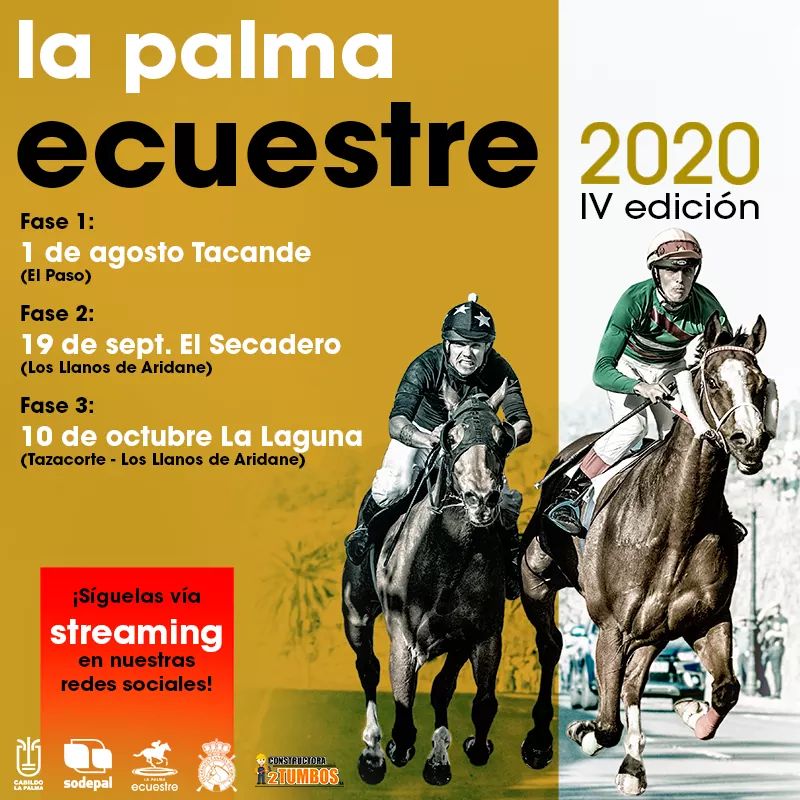 TV La Palma tweet media
