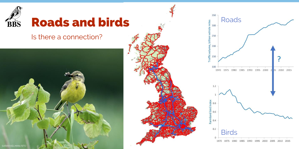 Great Britain has 246,000 miles of roads, enough to get around the world 10 times. In the past 50 years, traffic on these roads has more than doubled. In the same period, many bird species have suffered widespread declines –  http://bit.ly/BBSandRoads&nbsp; @sophiacooke  @ali__johnston
