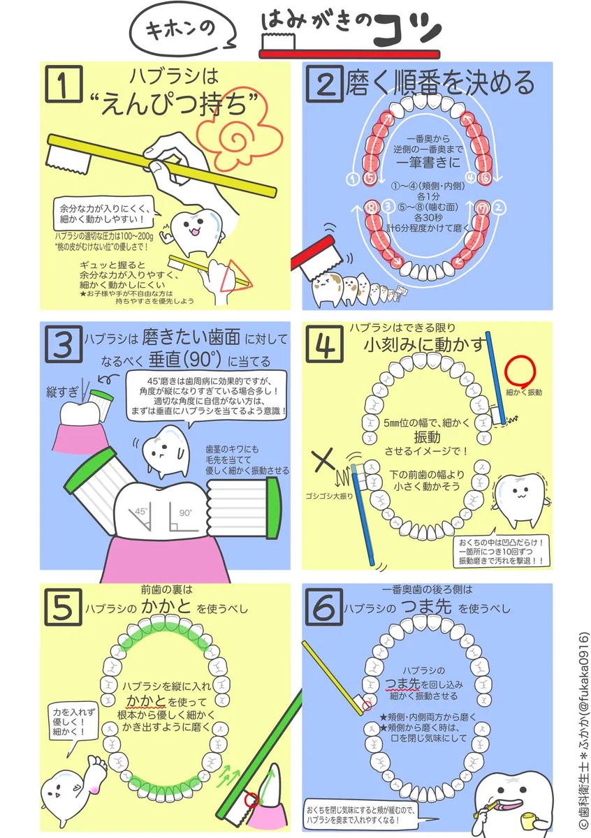 これは凄く助かる･･･！イラスト付きで分かりやすい、基本の「歯磨きのコツ」