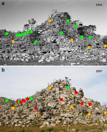 The Clanwilliam cedar has been in steady decline for over a century ( http://doi.org/10.1186/s12898-016-0108-6), with most of the extensive research on this species being placed on the mortality of long-lived adults. Our approach was to view the cedar as any other obligate reseeder.