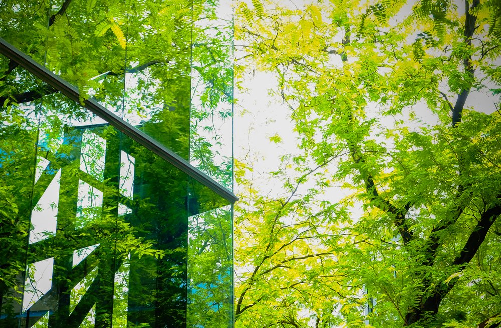 theGEF's tweet photo. Have you ever heard of an ‘urban heat island effect’? 🥵
#Cities are much warmer than the surrounding countryside, which means more energy ⚡️ is required and GHGs emitted to keep them cool. 

Read about the #NatureBasedSolutons for keeping cities cool: https://t.co/NZkDC5MrMV https://t.co/ZWLl8FX2Ad