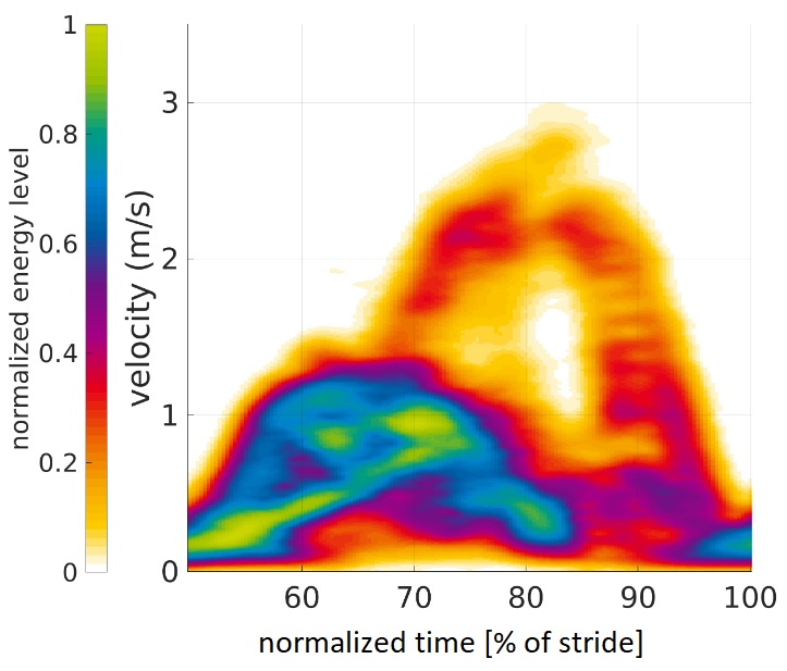 GrimmerMartin's tweet photo. Have you ever thought about using Radar for gait analysis? Ann-Kathrin reports on the usability in J BIOMED HEALTH: DOI:10.1109/JBHI.2020.2994471. PDF: https://t.co/GRyz2qklsX #biomechanics #Radar #Science https://t.co/VDVoGxEFjq