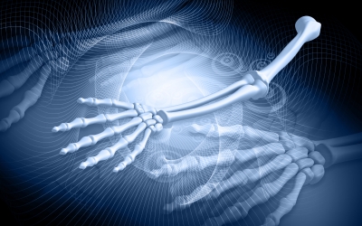 IrishOsteo's tweet photo. Public Talk on #osteoporosis
given by @IrishOsteo / National experts in Bone Health
When: Thurs, Aug 27, 2020 / @Ardilaungalway 
From 6 pm; talk from 6.30 pm to 9 pm
Admission: Talk is free to members /  €10 for non-members of @IrishOsteo . More at https://t.co/VqNZ85kOi4 https://t.co/jO9ga9oko0