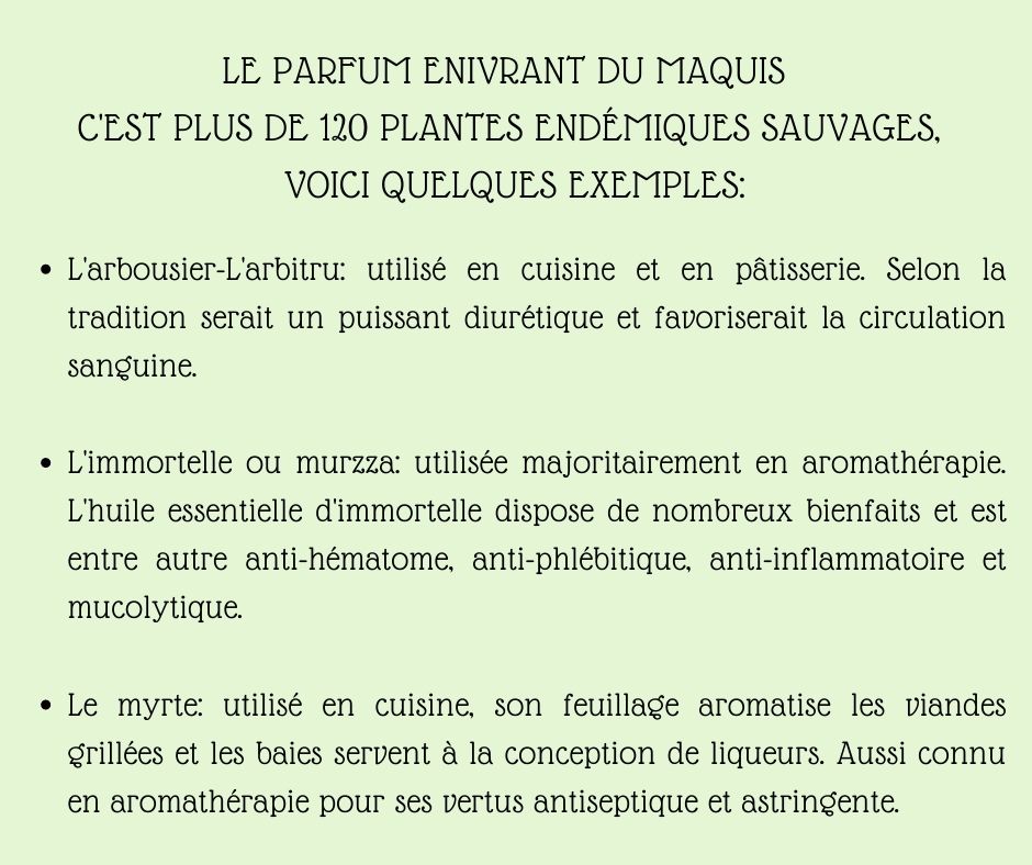 Ollandini's tweet photo. Je reconnaîtrais la Corse, les yeux fermés, à son odeur.
- Napoléon - https://t.co/T6noVYOJbH