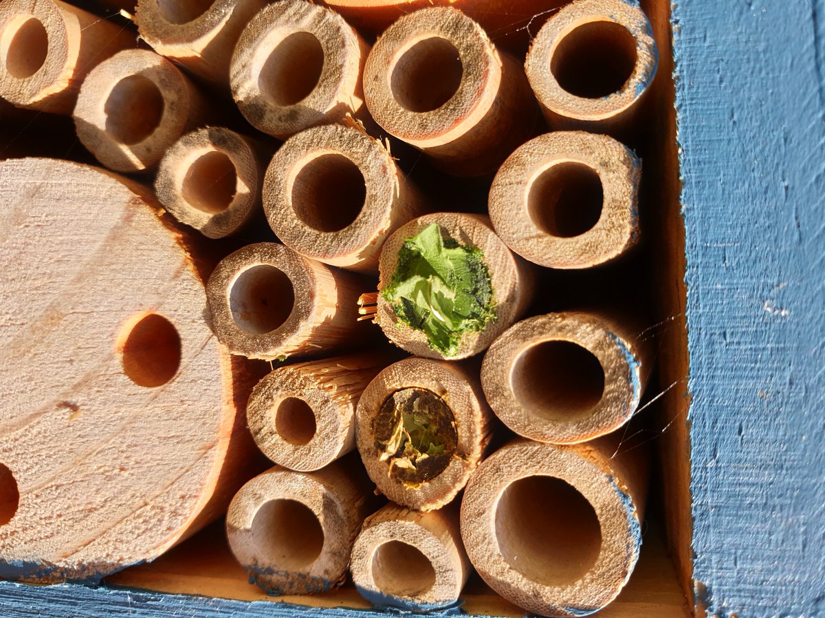 Walking Scotland tweet media