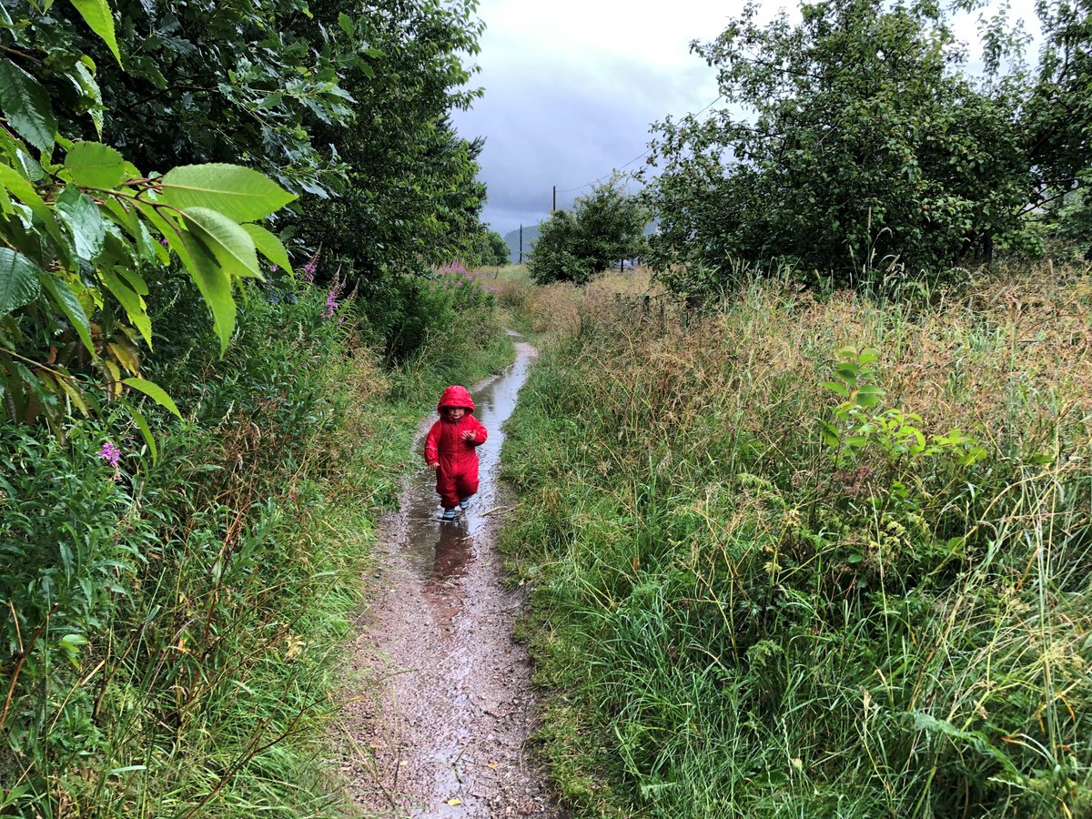 Walking Scotland tweet media