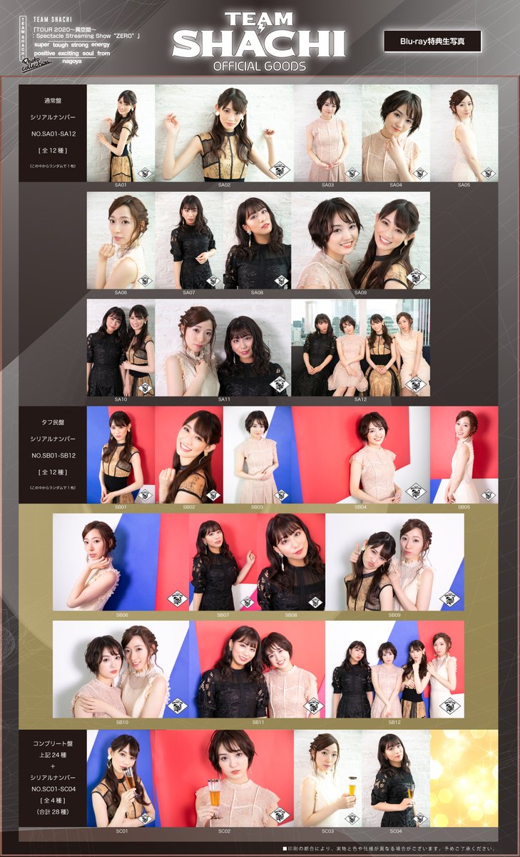 TEAM SHACHI（チームシャチ） on X: 