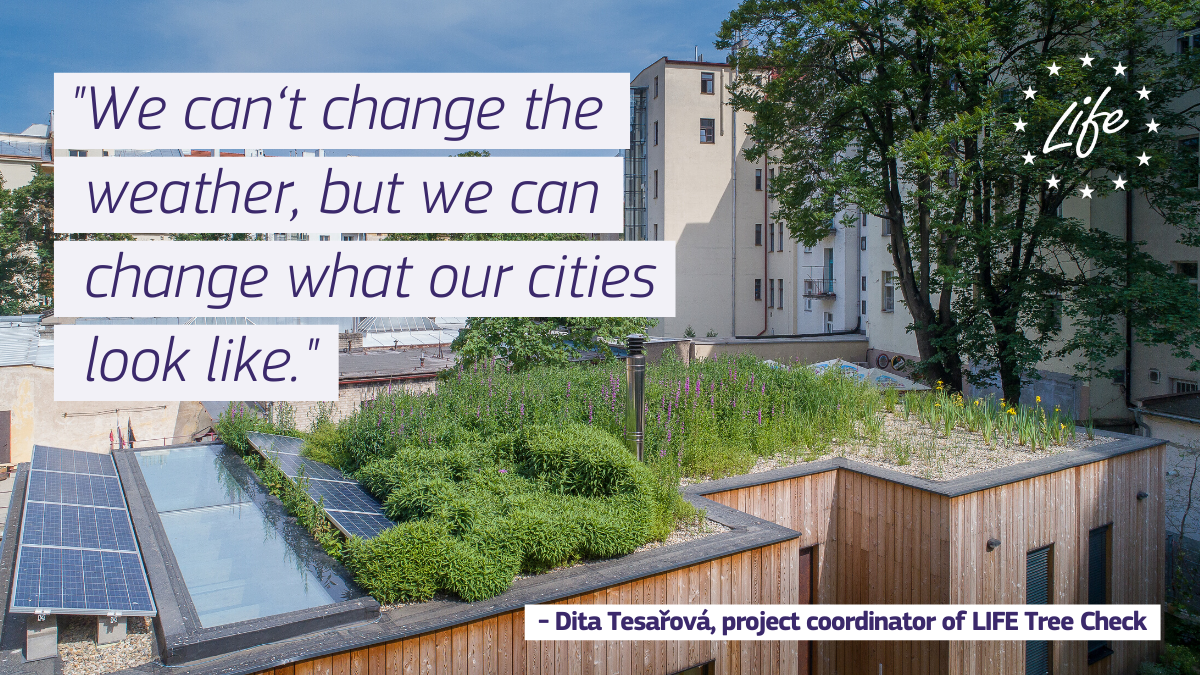 LIFEProgramme's tweet photo. The last 5 years have been the hottest ☀️🌡️ ever recorded in Europe and urban areas are particularly vulnerable to extreme heat.

A #LIFEproject in 🇨🇿🇭🇺🇵🇱🇸🇰 has come up with several green solutions to cool our cities down ➡️ https://t.co/7JNzmkcONT 

#EUGreenDeal #ClimateAction https://t.co/O9cGMdbQgz