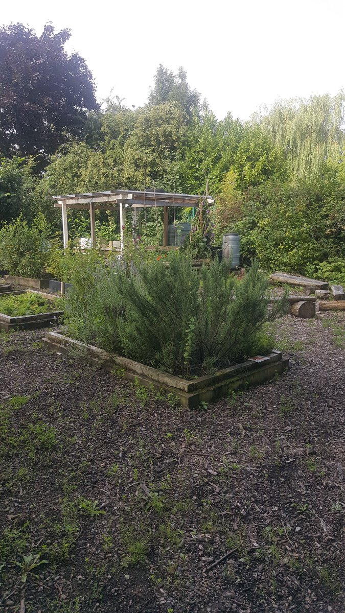 Working in a school outside St Helens, the kids get to work on fruit, veg, flowers etc and wildlife is encouraged to live here. This is fantastic for kids. 