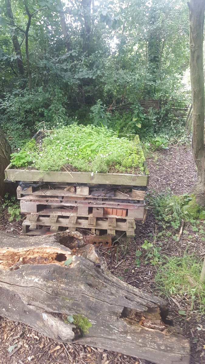 Working in a school outside St Helens, the kids get to work on fruit, veg, flowers etc and wildlife is encouraged to live here. This is fantastic for kids. 