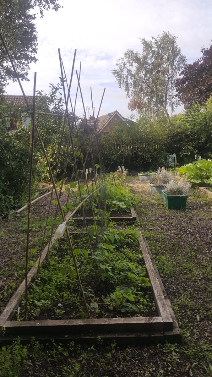 Working in a school outside St Helens, the kids get to work on fruit, veg, flowers etc and wildlife is encouraged to live here. This is fantastic for kids. 