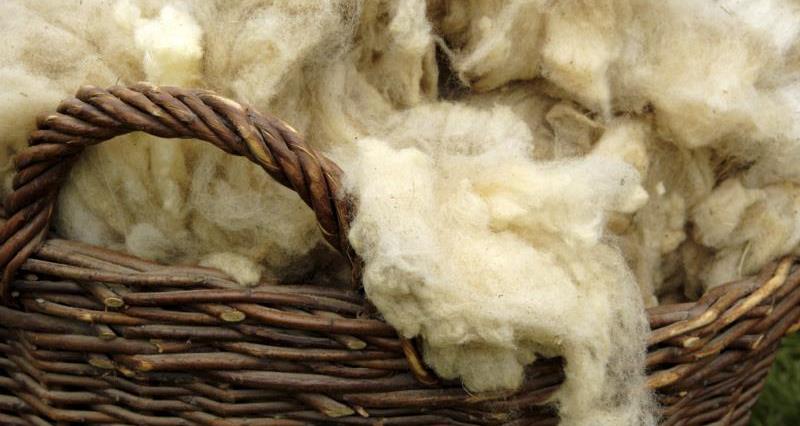NFUtweets's tweet photo. We're supporting a campaign that calls for British wool products to be mandatory in the government’s new home insulation scheme. If you agree that we should use sustainable, home-grown insulators rather than man-made products, add your name to the petition https://t.co/qZ6cmV0LNh https://t.co/fcZjUTZvmG