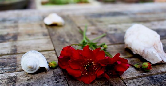 Art student Joe made his latest short film during lockdown. It's based on a conversation with a friend about growing up in Gloucestershire and what the future holds. Joe is now off to study Filmmaking in Leeds.

Brilliant work Joe! 👏

Check it out here: ow.ly/K0Oi50AJaGL