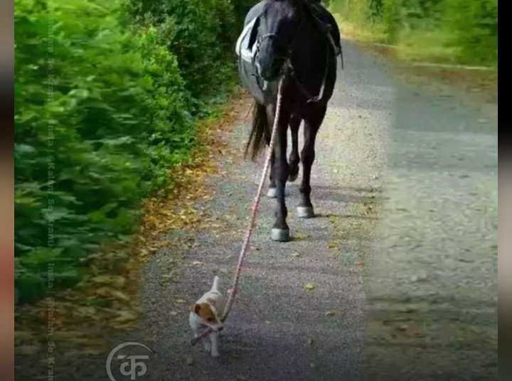 HamidMatloob's tweet photo. जब जमीर गुलामी का आदि हो जाए तब ताकत कोई मायने नहीं रखती ! https://t.co/CVHjKat4LV