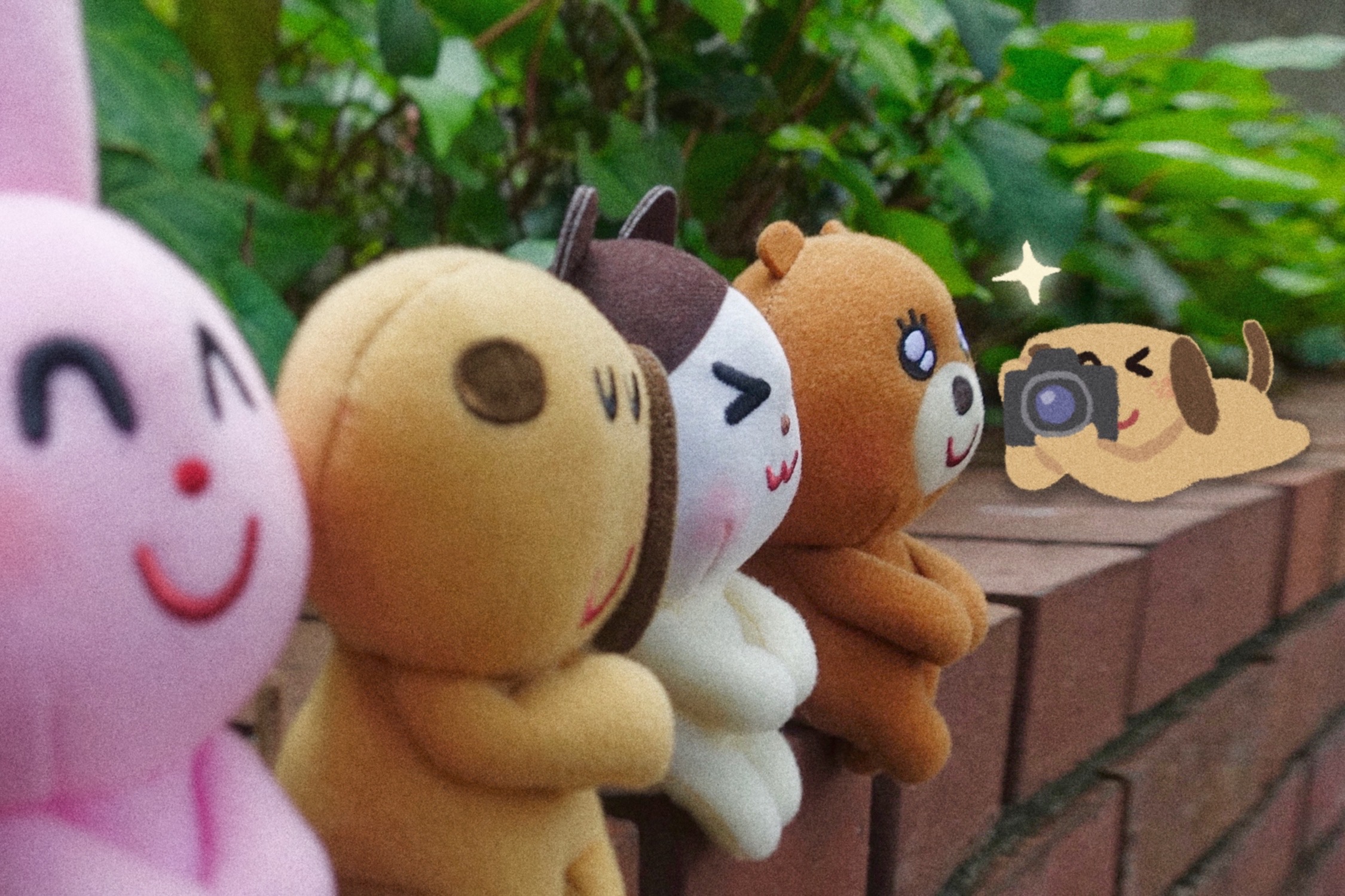 タカラトミーアーツ公式 Al Twitter 11月発売の いらすとや ちょっこりさん が好評をいただいています 通販サイトe組では うさぎ いぬ ねこ くまの４種セットを予約受付中 特典として いぬが撮ったぬい撮りポストカード が付いてきます やっぱりちょっと