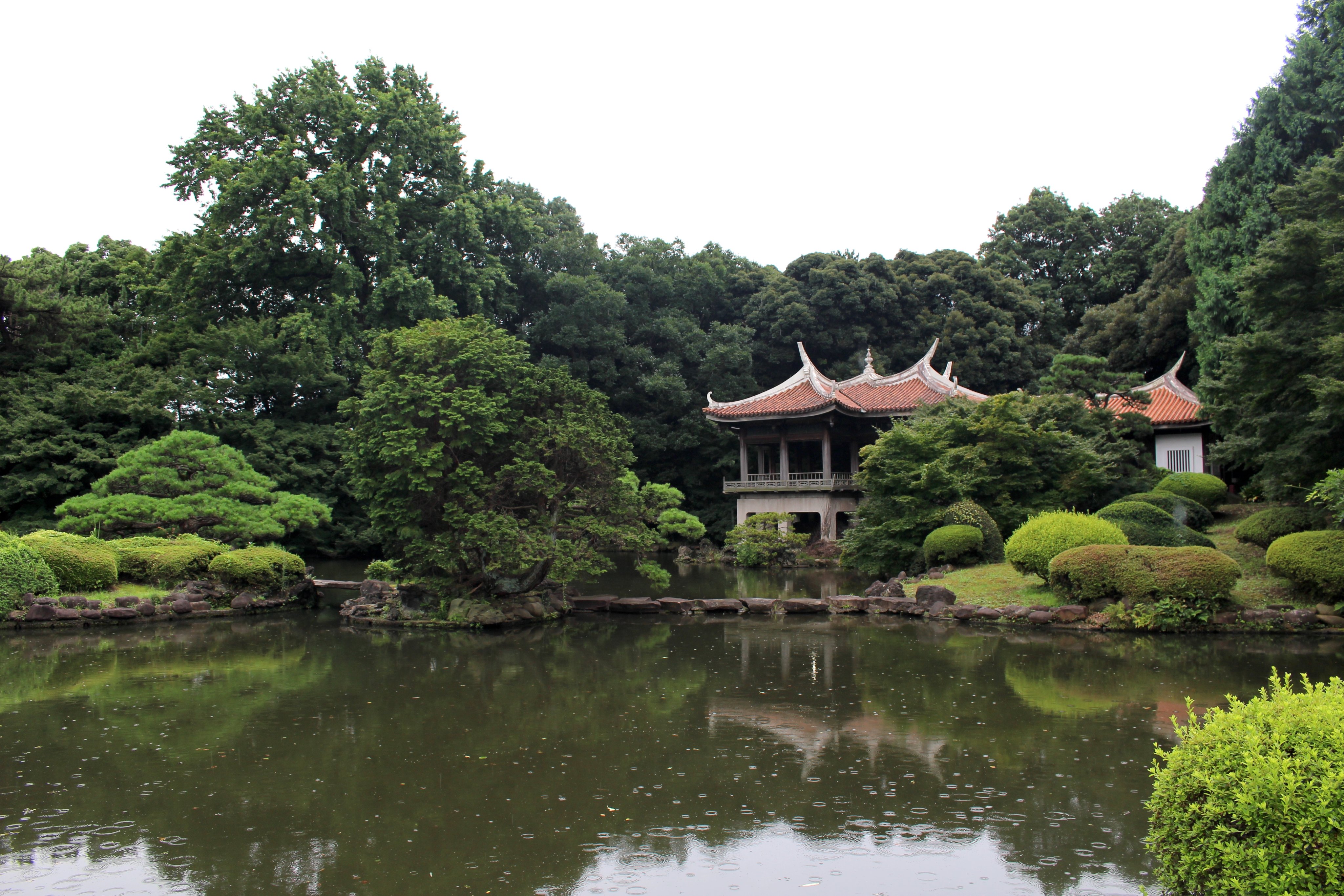Shinjukugyoennationalgarden Twitter Search Twitter