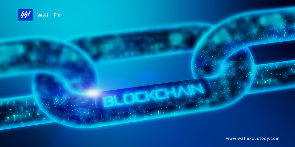 wallex_official's tweet photo. The blockchain craze is bringing a lot to the entrepreneurs’ table to their delight. Opportunities abound around open financial tools and services. Is DeFi ready to defy the odds for a takeover? Legacy infrastructures can be a challenge. 
https://t.co/CzUzOHO5IR

#cryptocurrency https://t.co/mfn6rFY2TL