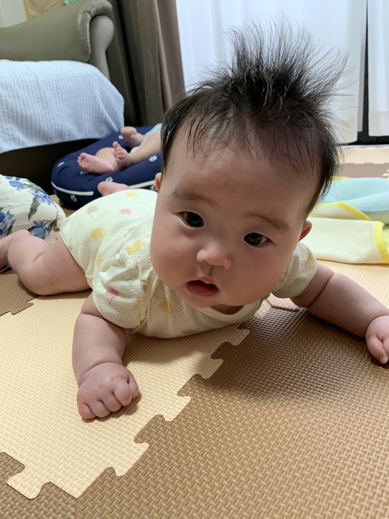 首すわり Twitter Search Twitter