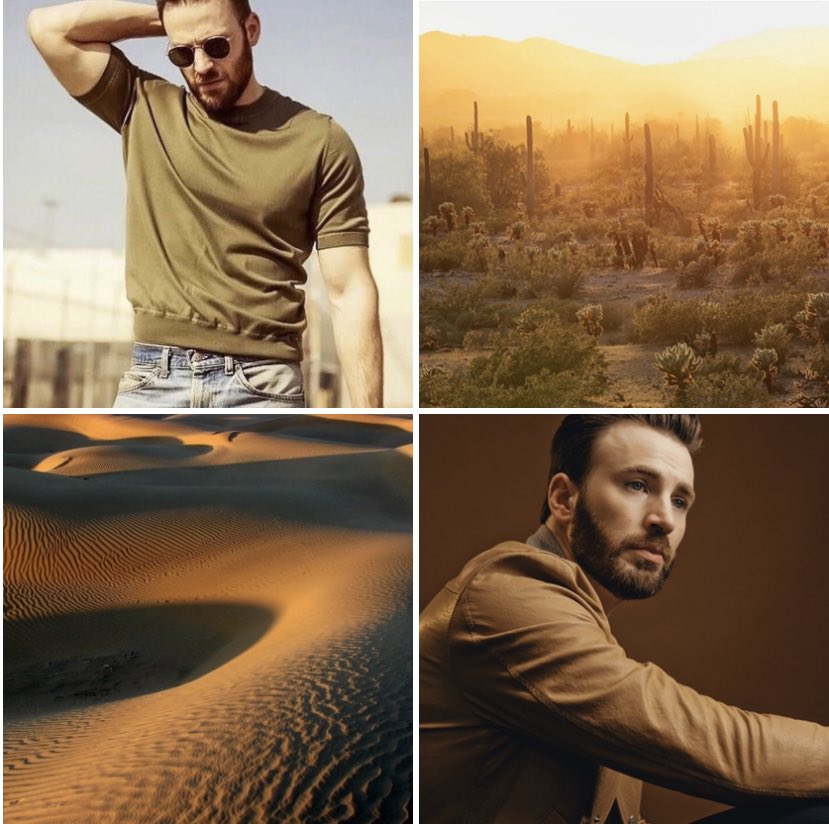 𝗖𝗵𝗿𝗶𝘀 𝗘𝘃𝗮𝗻𝘀 𝗮𝘀 𝘄𝗼𝗿𝗹𝗱’𝘀 𝗺𝗼𝘀𝘁 𝘀𝗽𝗲𝗰𝘁𝗮𝗰𝘂𝗹𝗮𝗿 𝗱𝗲𝘀𝗲𝗿𝘁𝘀. (A thread)