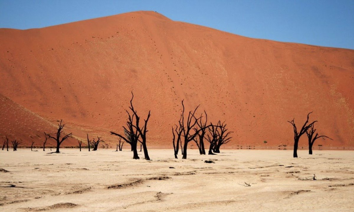 Namib - Africa