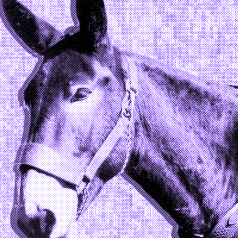 MagazineStill's tweet photo. Still Listening Magazine Review: Protomartyr - Ultimate Success Today
“Protomartyr have created a record that feels uplifting despite its themes of illness, pain, and apocalypse."
https://t.co/U4J5AEMRX8
@protomartyrband
@Dominorecordco
#NewMusic #UltimateSuccessToday https://t.co/rXmsVEhFeH